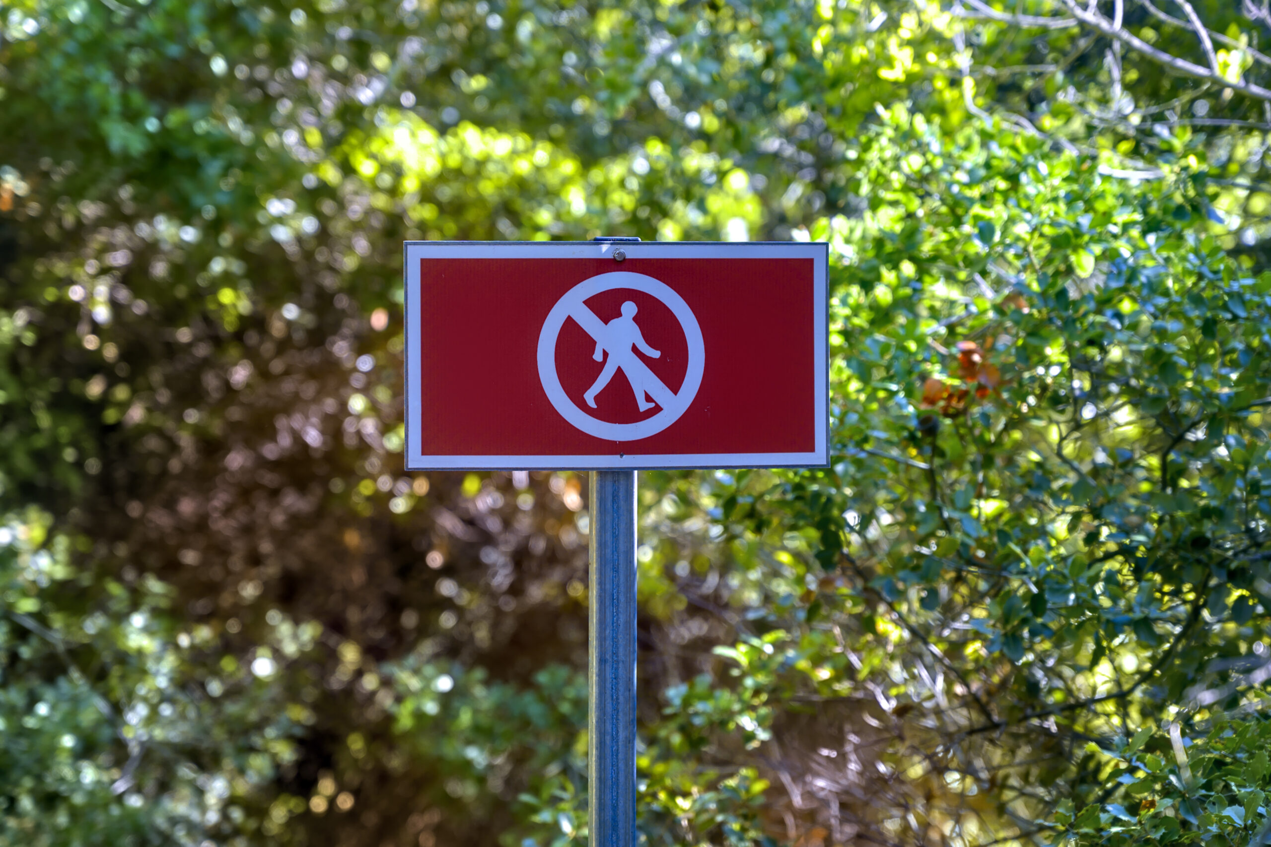 Panneau rouge d'interdiction planté dans une forêt, indiquant un accès fermé aux véhicules sur ce sentier naturel.