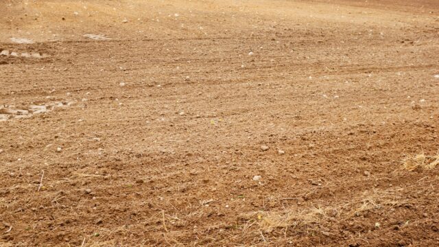 Champ de terre labouré à la campagne, avec des traces de pneus creusées dans le sol irrégulier.